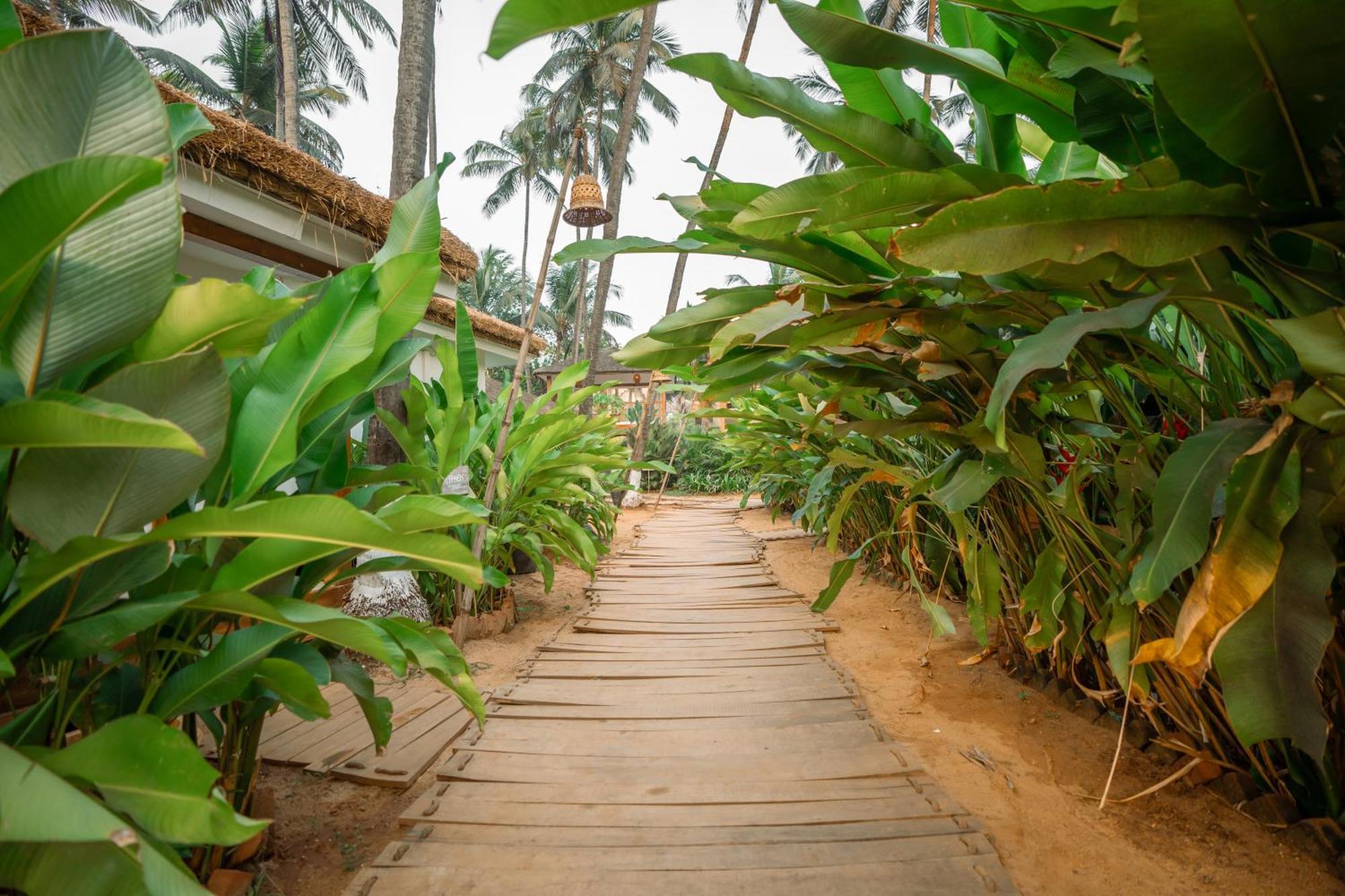 Thalassa Boutique Resort